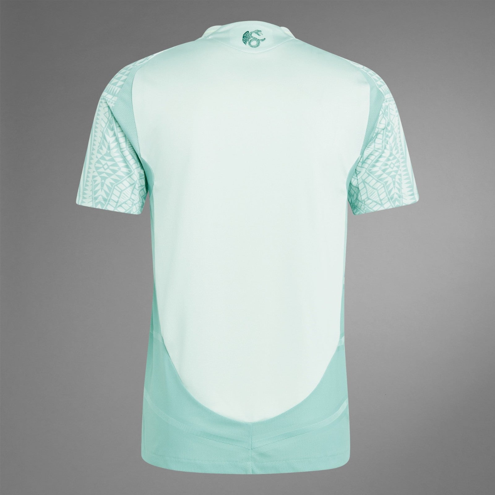 MAILLOT MEXIQUE EXTERIEUR 2024