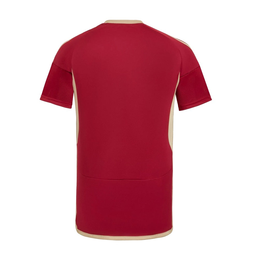 MAILLOT VENEZUELA DOMICILE 2024