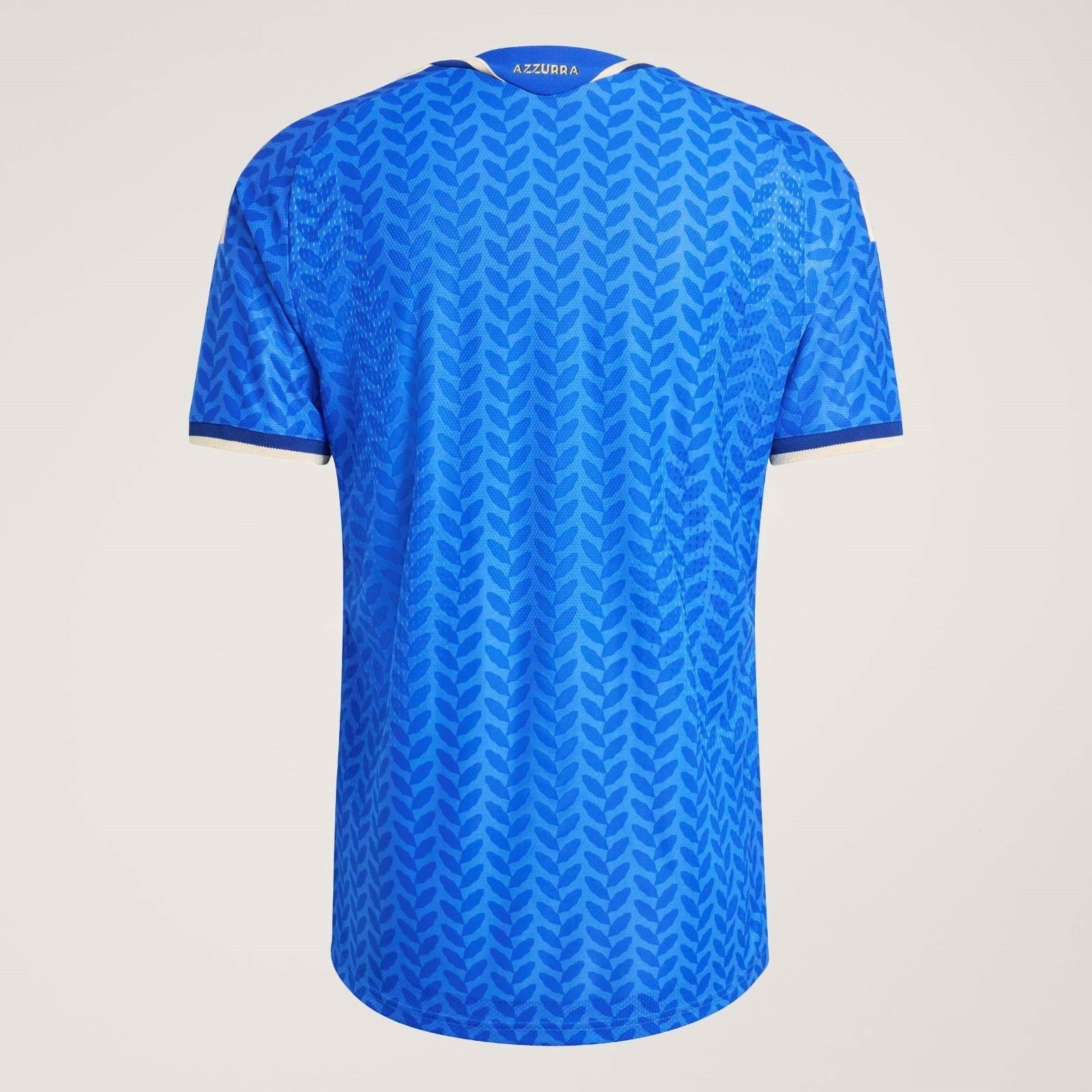 MAILLOT ITALIE DOMICILE 2026