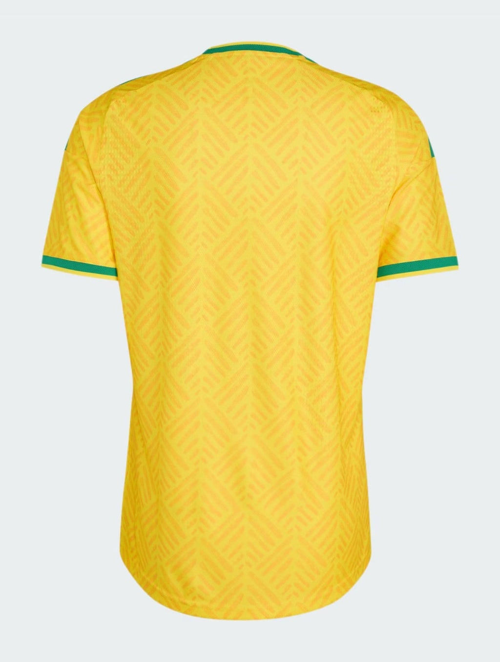 MAILLOT AFRIQUE DU SUD DOMICILE 2026