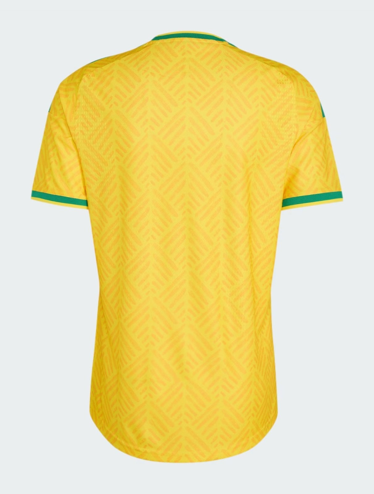 MAILLOT AFRIQUE DU SUD DOMICILE 2026