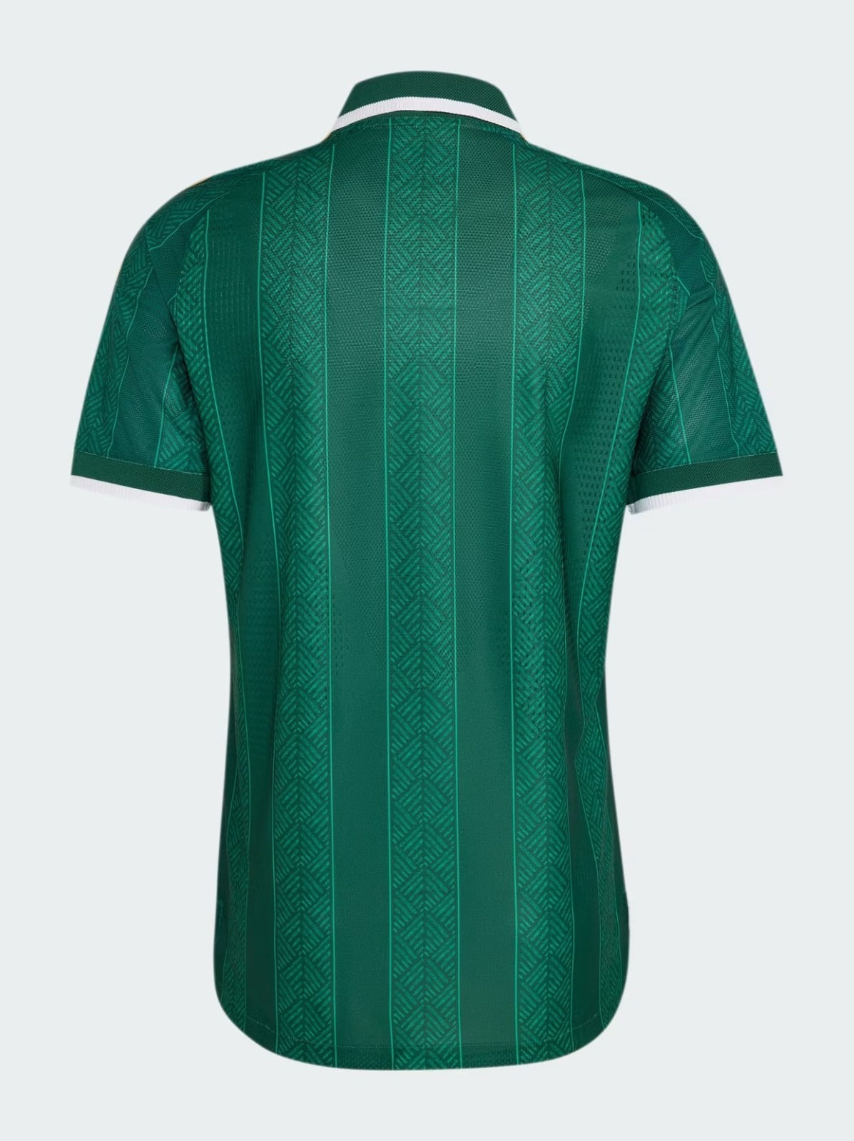 MAILLOT AFRIQUE DU SUD EXTERIEUR 2026