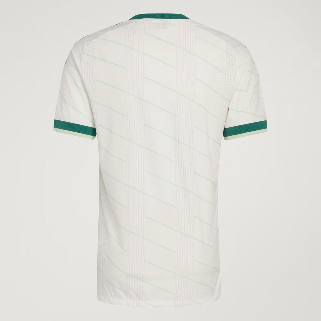 MAILLOT IRLANDE DU NORD EXTERIEUR 2026