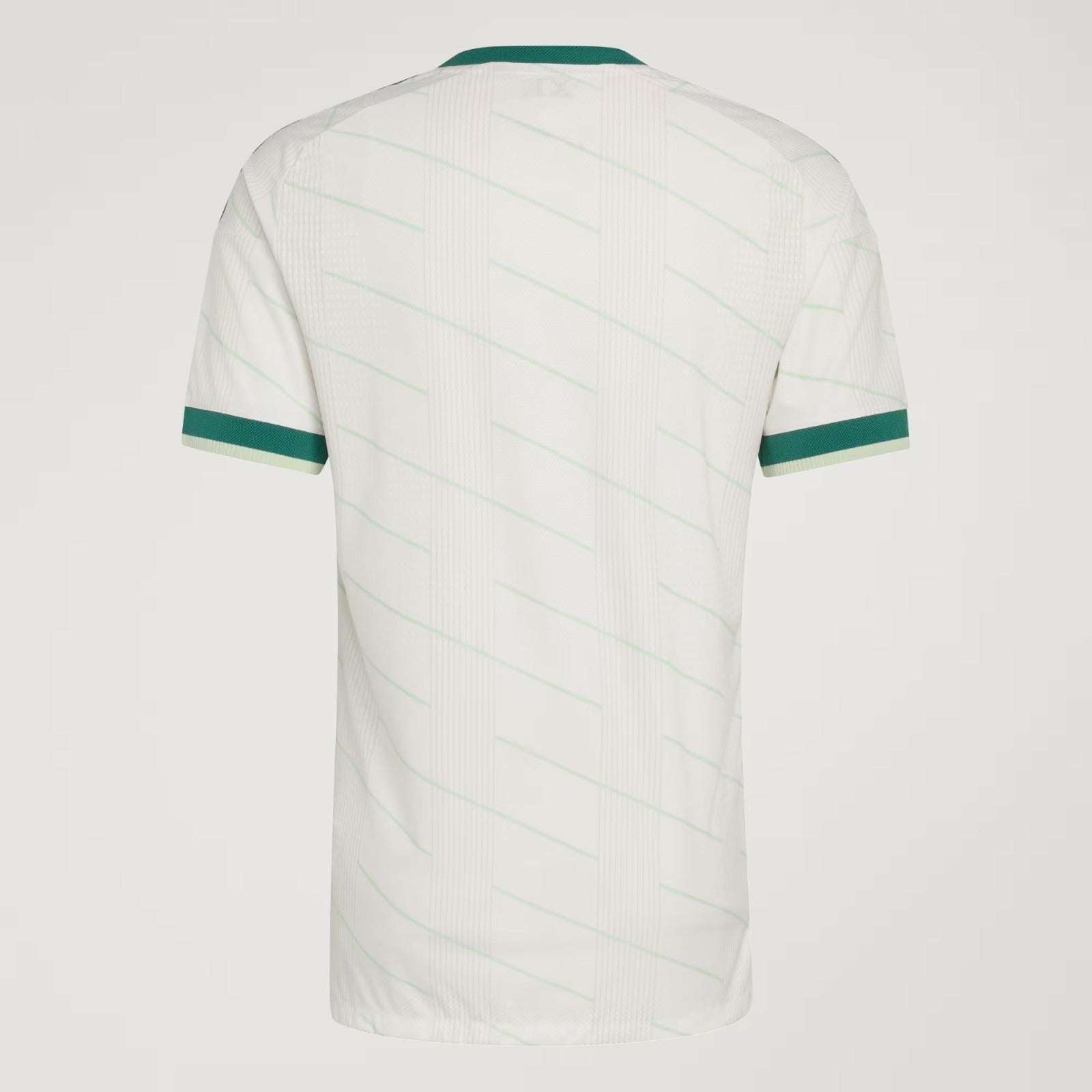 MAILLOT IRLANDE DU NORD EXTERIEUR 2026