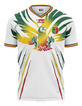 MAILLOT MALI DOMICILE 2024