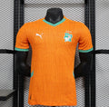MAILLOT CÔTE D'IVOIRE DOMICILE 2025