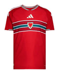 MAILLOT PAYS DE GALLES DOMICILE 2026